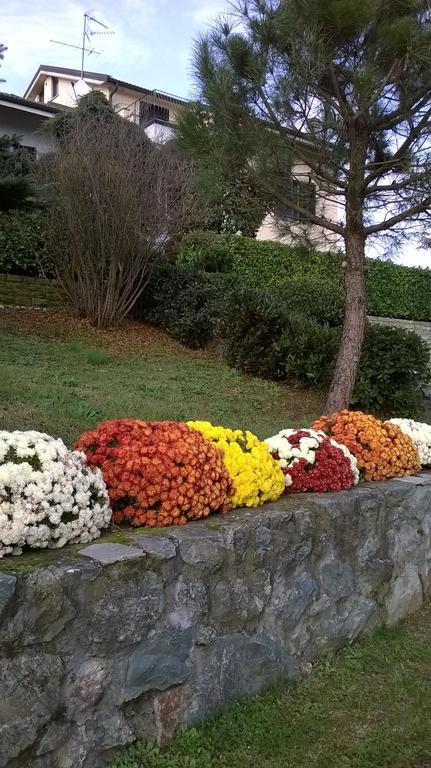 Il Girasole Hotel Strevi Buitenkant foto