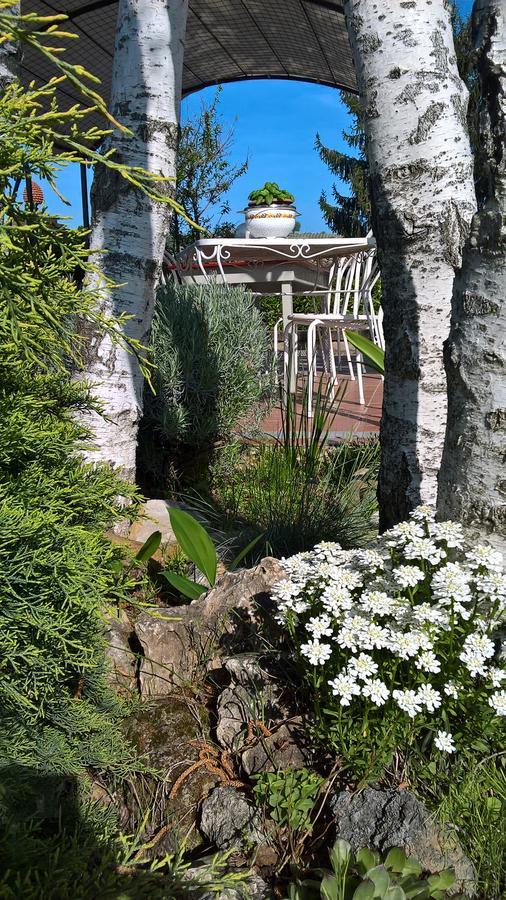Il Girasole Hotel Strevi Buitenkant foto